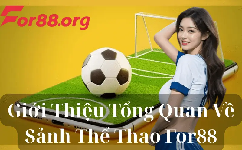 Giới Thiệu Tổng Quan Về Sảnh Thể Thao For88