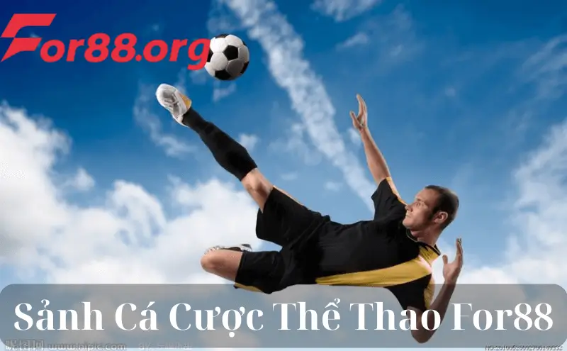 Hướng Dẫn Tạo Phiếu Cược Thể Thao Tại For88